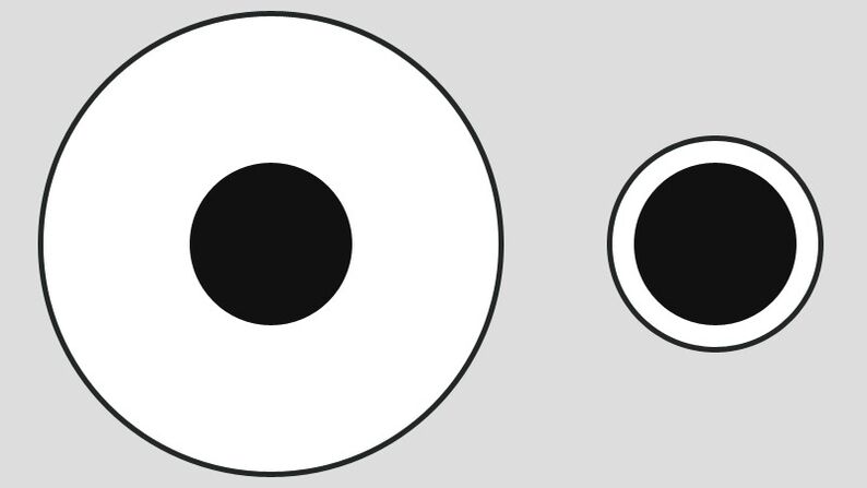 Delbeufova iluzija - različita percepcija veličine posluživanja na velikim i malim tanjurima