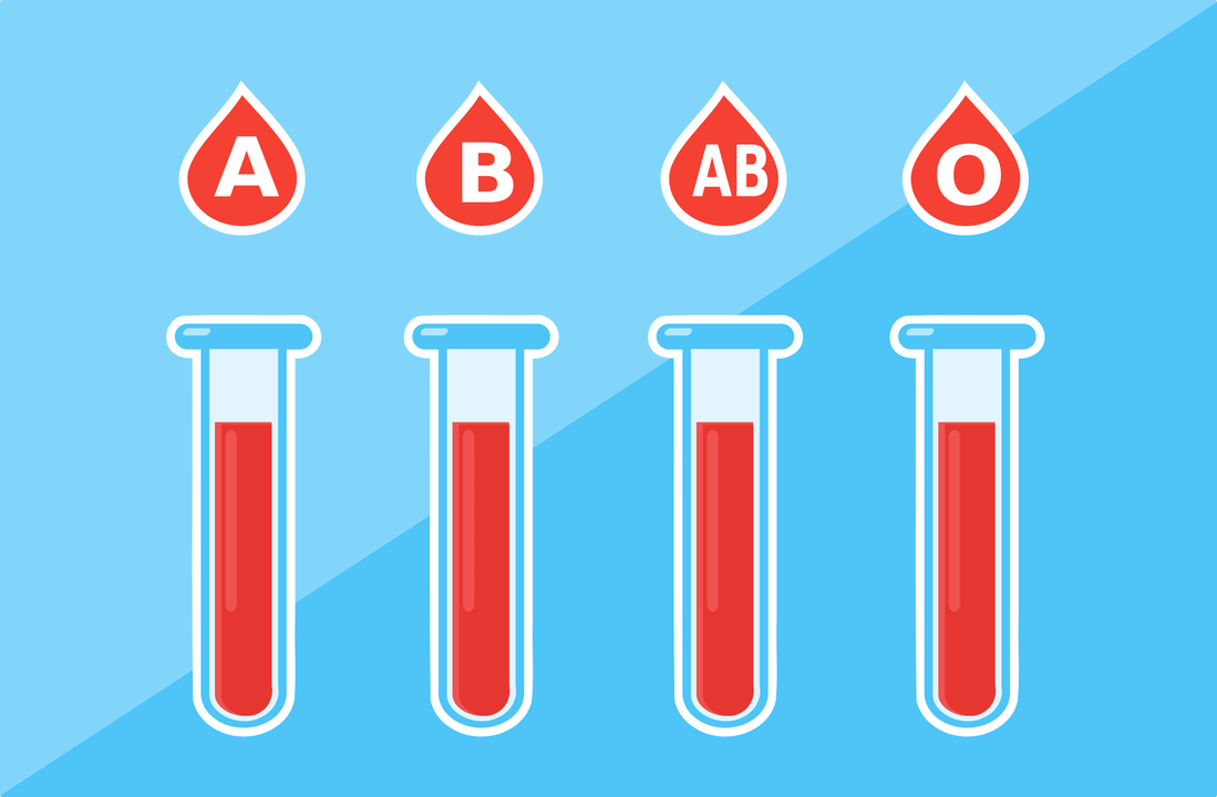 Postoje 4 krvne grupe – A, B, AB, O