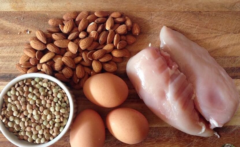 Proteinska hrana
